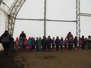 Équitation 24avril 2015 