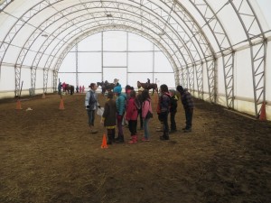 Équitation 24avril 2015 