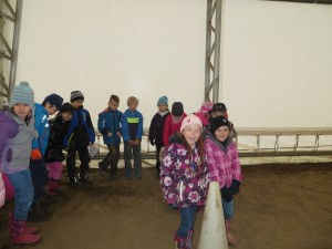 Équitation 24avril 2015 