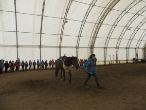 Équitation 24avril 2015 